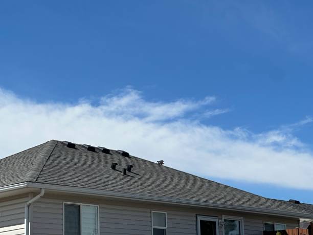 Best Gutter Installation and Repair  in Cannelton, IN